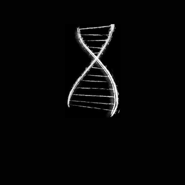 Dr. Brad Zebrack Research