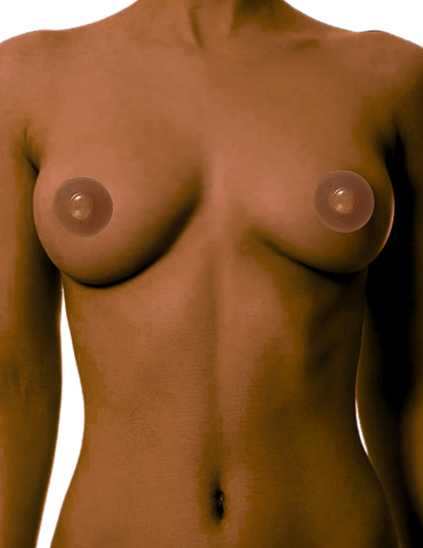 Perkies Natural Nips