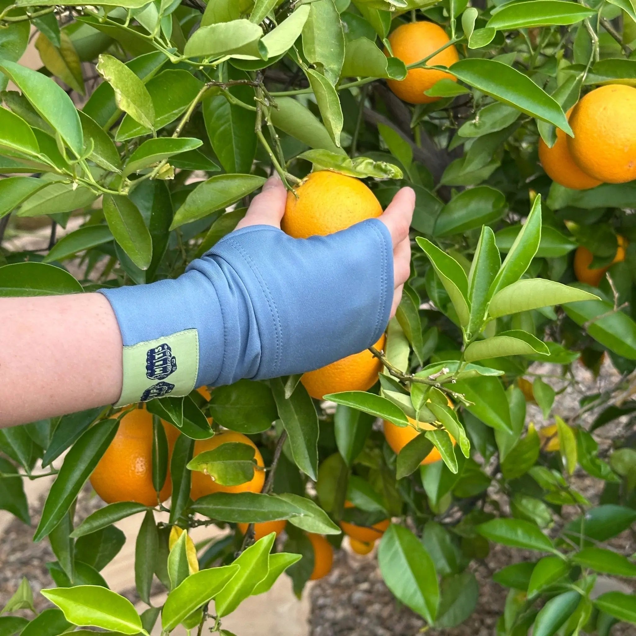 BLUE STEEL FLIPMITS HL