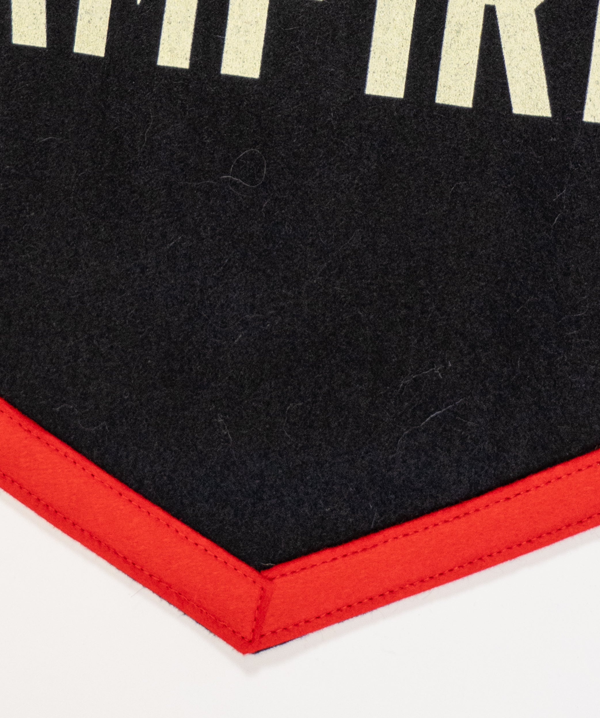 If We Were Vampires Camp Flag • Jason Isbell x Oxford Pennant