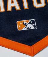 Let's Go Aviators Camp Flag • MiLB x Oxford Pennant