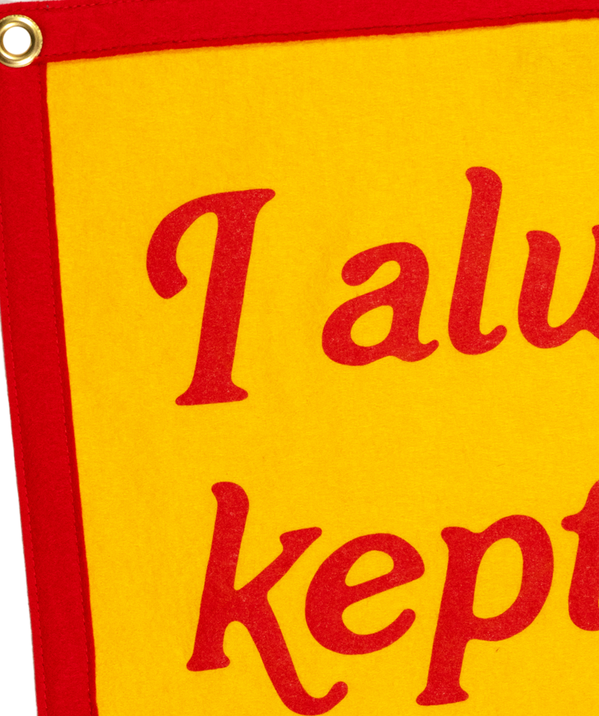 I Always Kept The Best For You Camp Flag • Turnpike Troubadours x Oxford Pennant