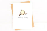 Baby Shower Congratulations Card - Funny Eggcited Pregnancy Greeting Card