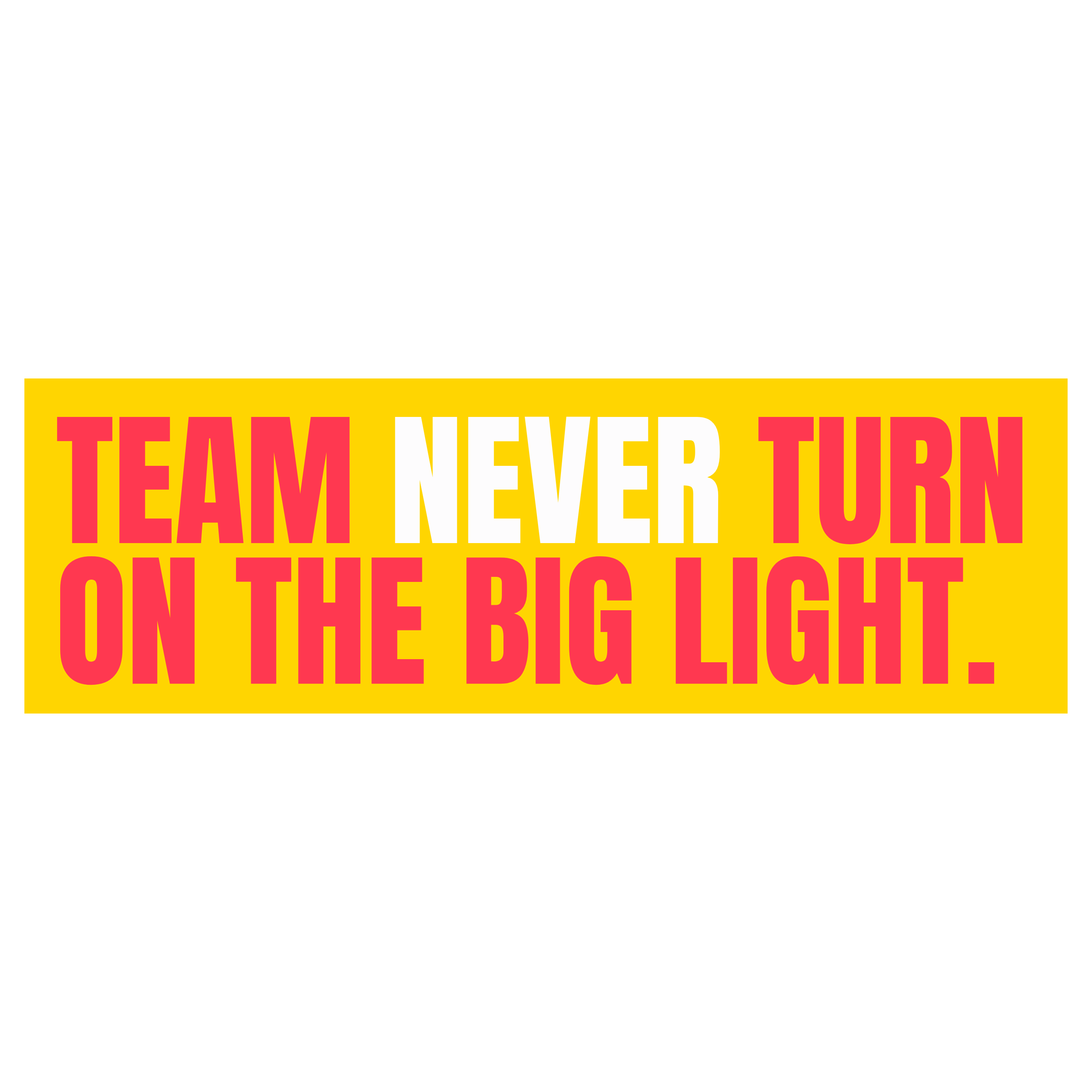 Funny Vinyl Sticker Team Never Turn On the Big Light Sticker