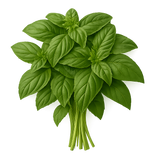 Herb Bundle
