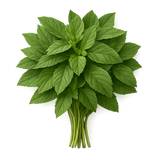 Herb Bundle