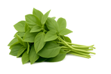 Herb Bundle