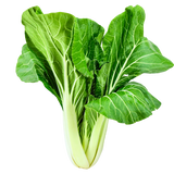 Farmers Bundle