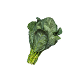 Veggie Bundle