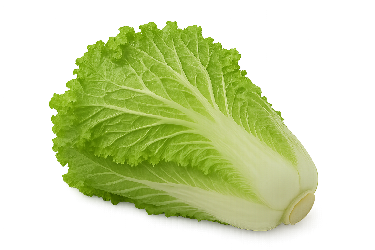 Veggie Bundle