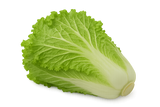 Veggie Bundle