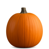 Cucurbit Bundle