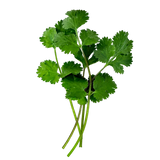 Herb Bundle