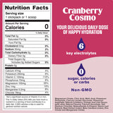Cranberry Cosmo electrolyte drink mix - Ultima Replenisher