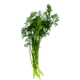 Herb Bundle