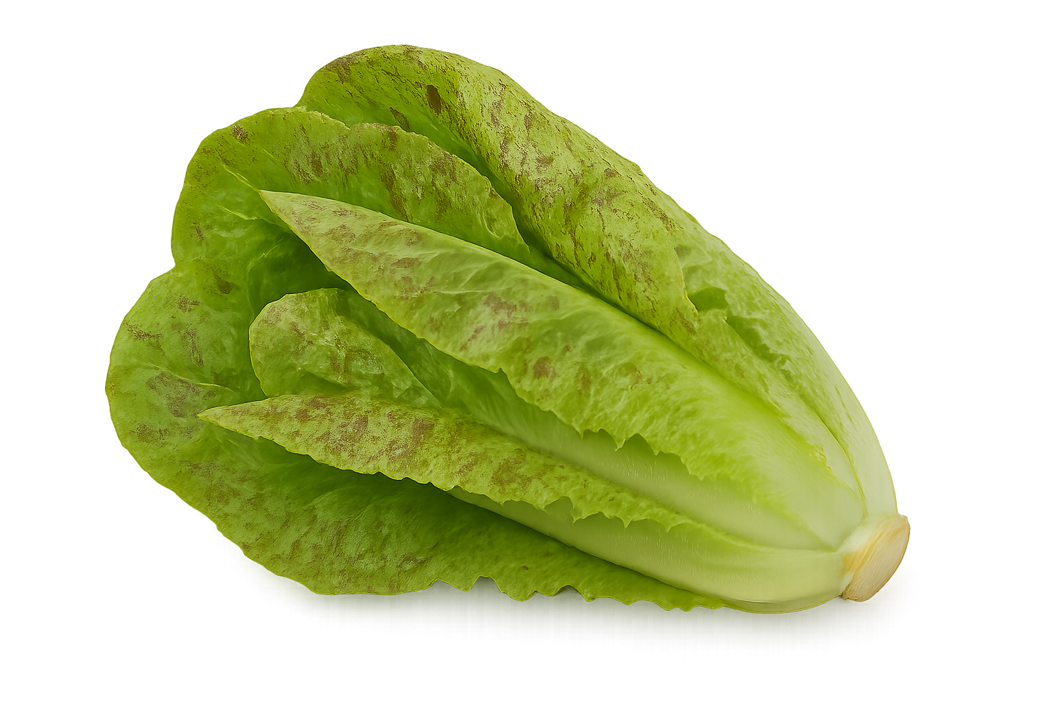 Lettuce Bundle