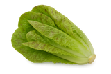 Lettuce Bundle