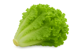 Lettuce Bundle