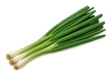 Herb Bundle