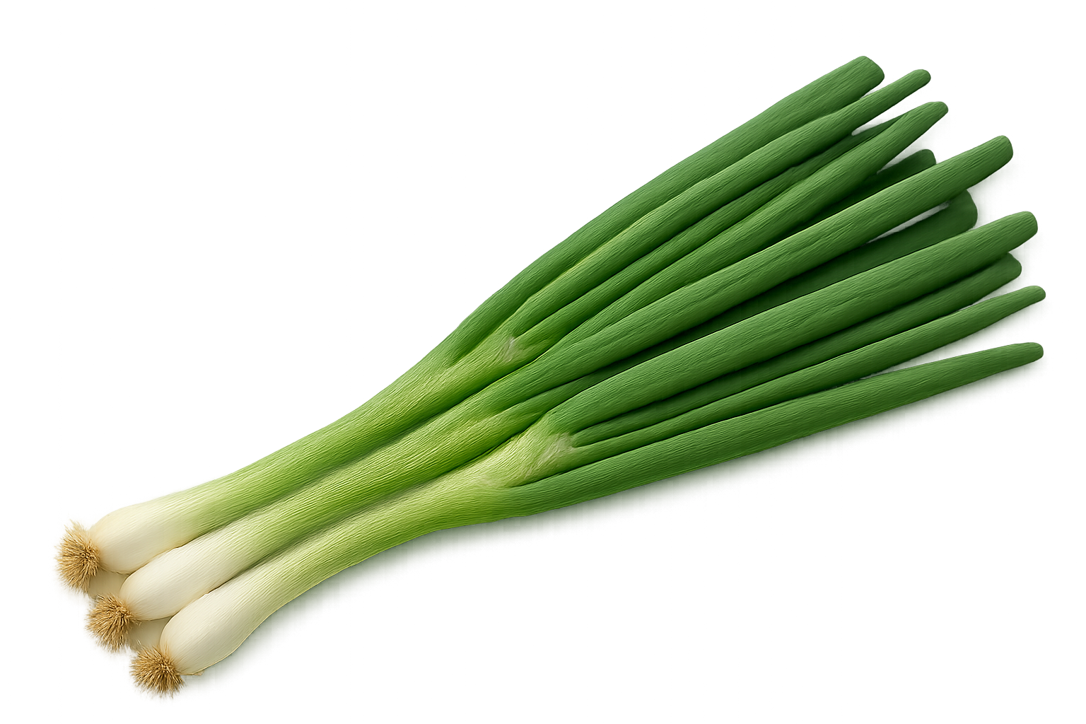 Herb Bundle