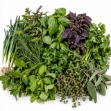Herb Bundle
