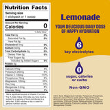 Lemonade electrolyte drink mix