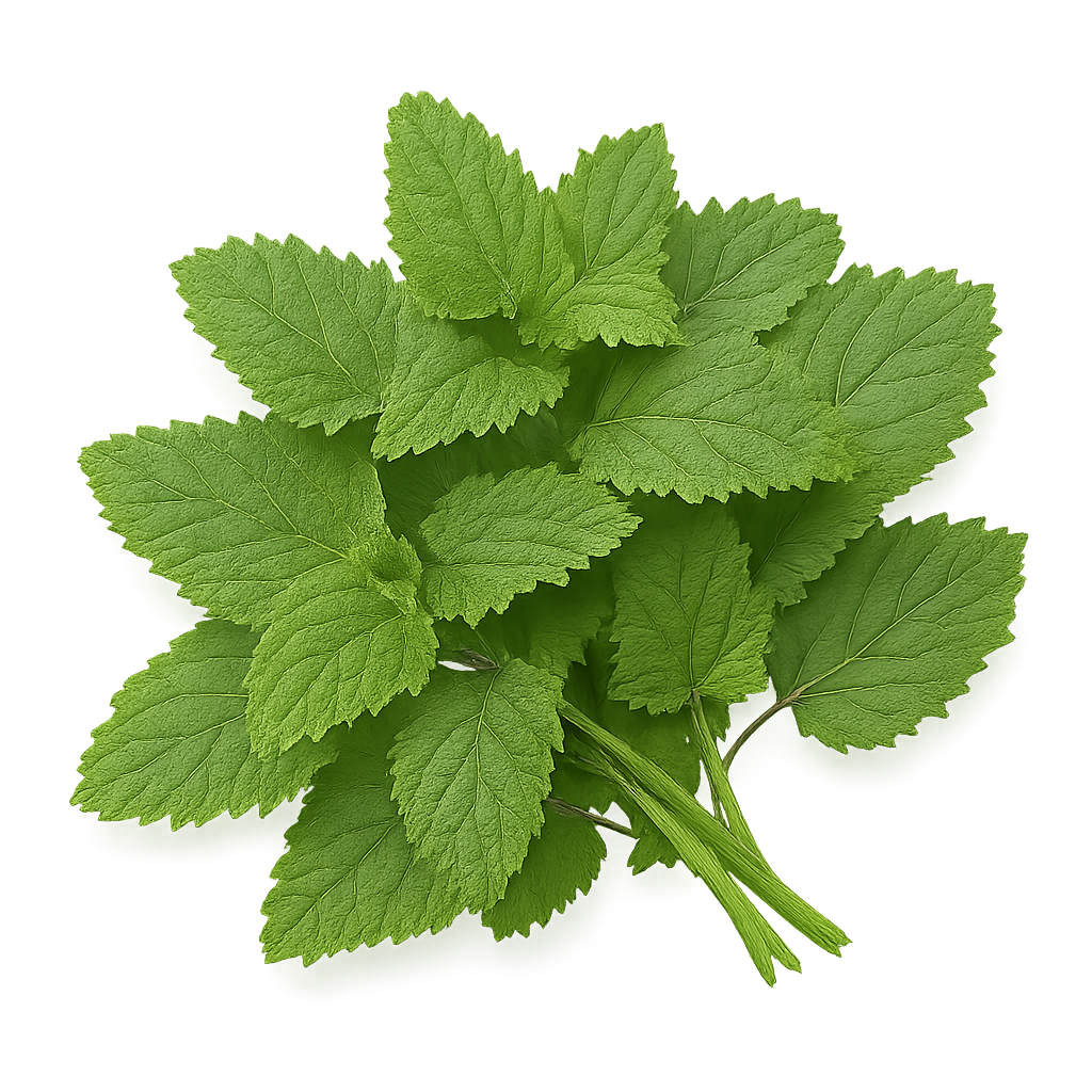 Herb Bundle