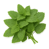 Herb Bundle