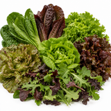 Lettuce Bundle