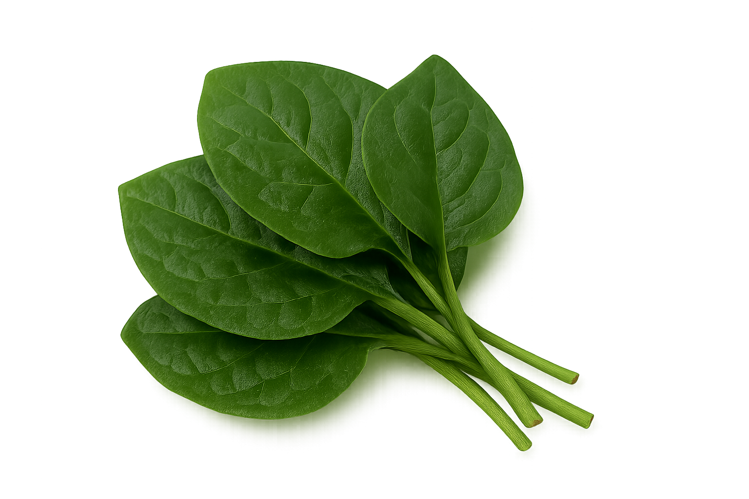 Greens Bundle