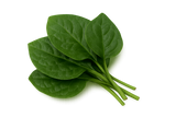Greens Bundle
