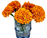 Flower Bundle