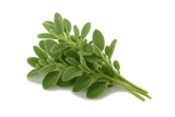 Herb Bundle