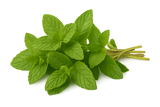 Herb Bundle