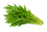 Greens Bundle