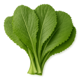 Greens Bundle