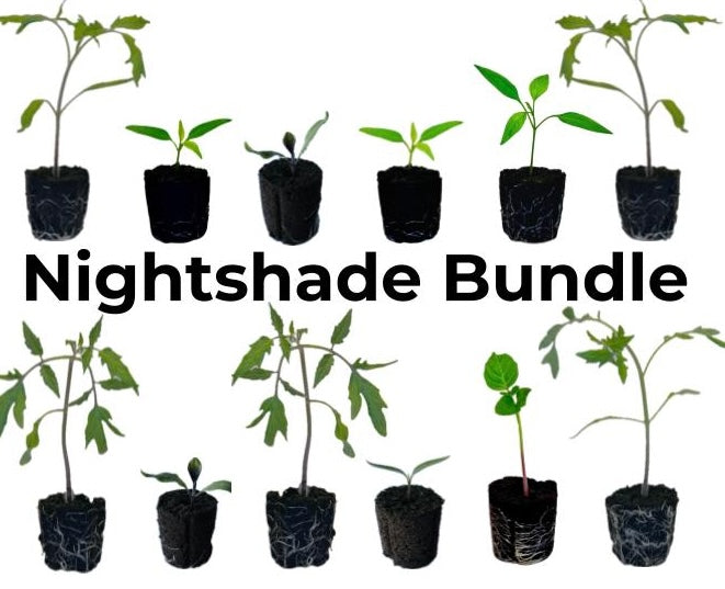 Nightshade Bundle