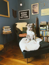 Nobody Knows Anything Camp Flag