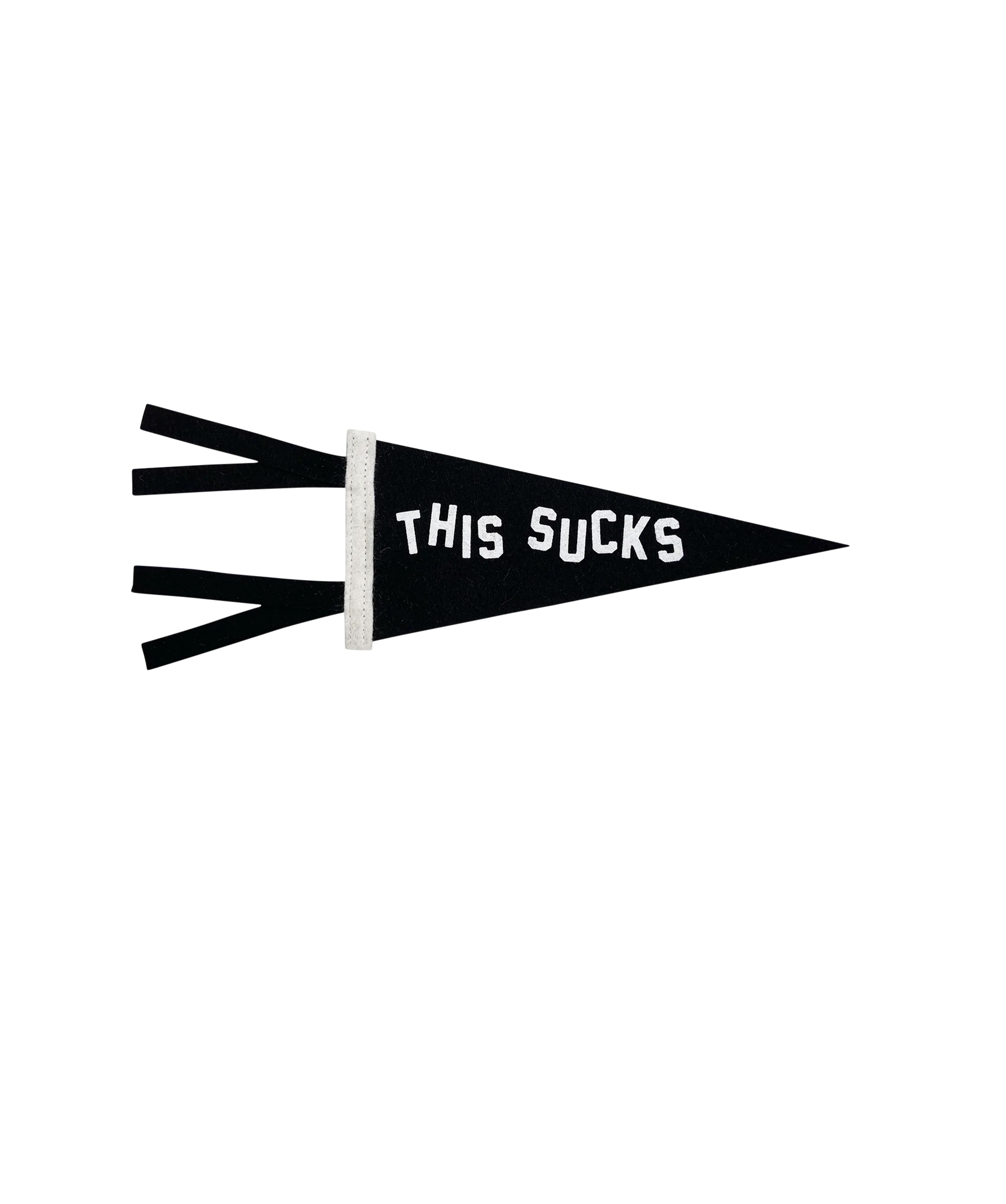 This Sucks Mini Pennant