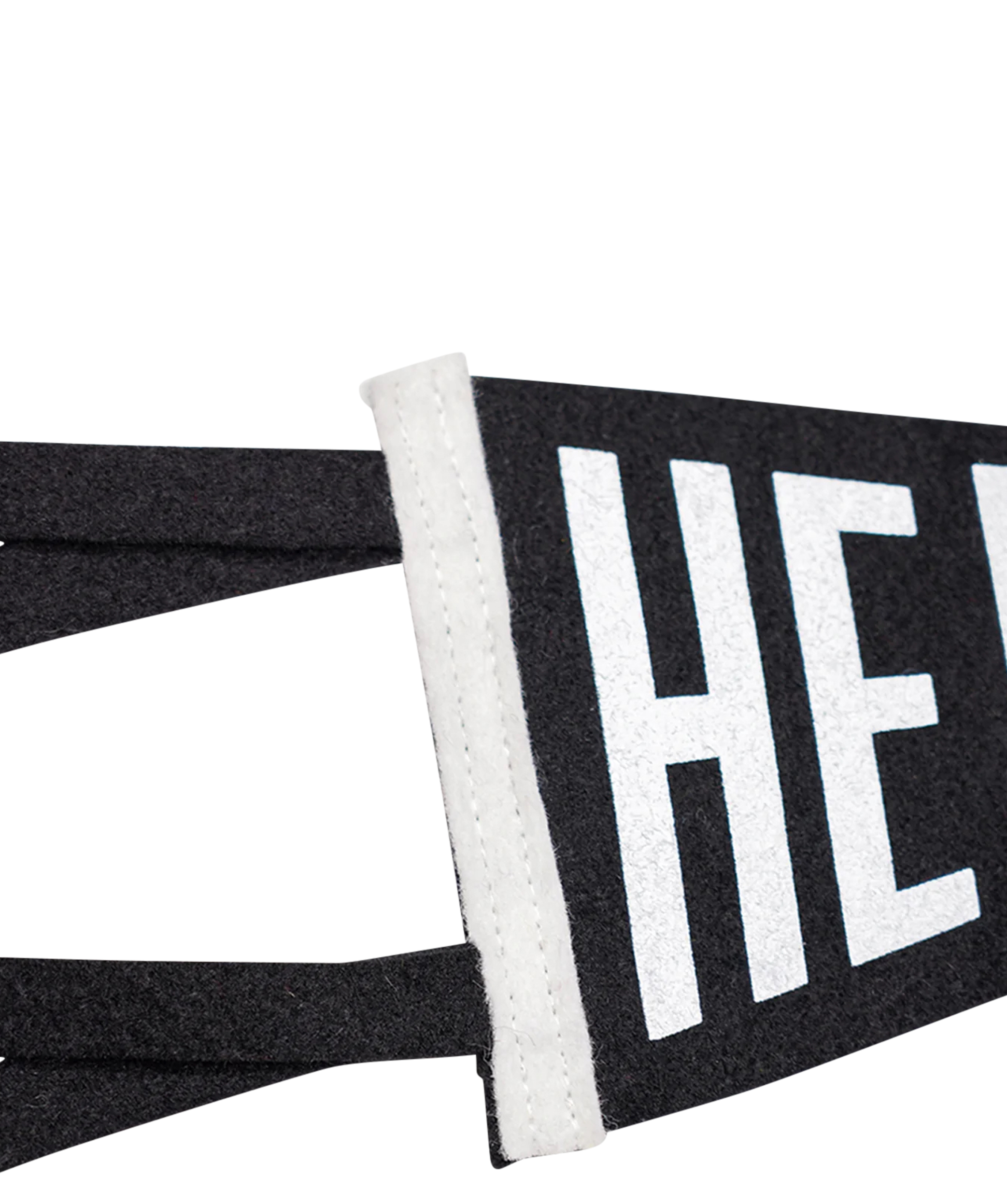 He/Him Mini Pennant