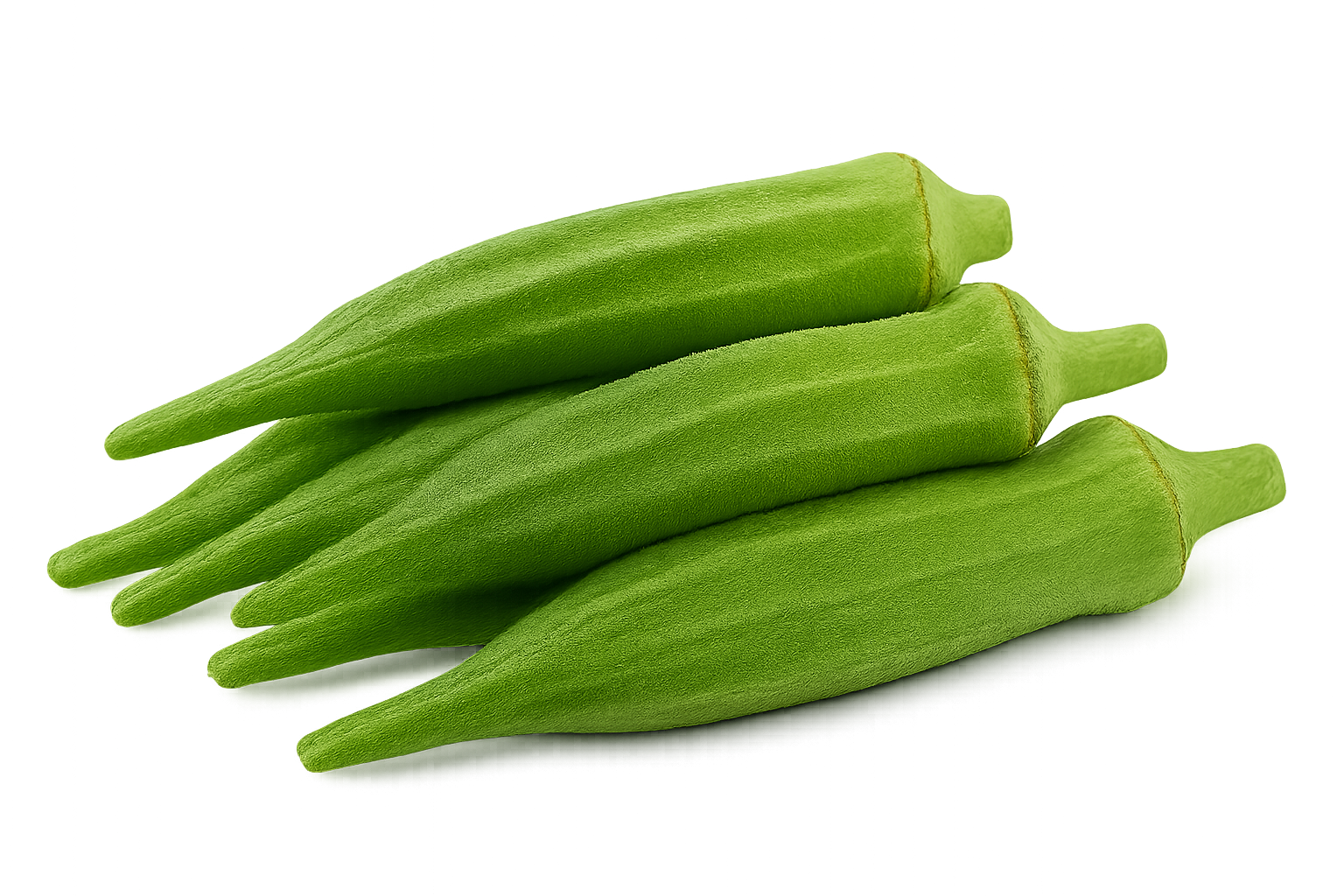 Veggie Bundle