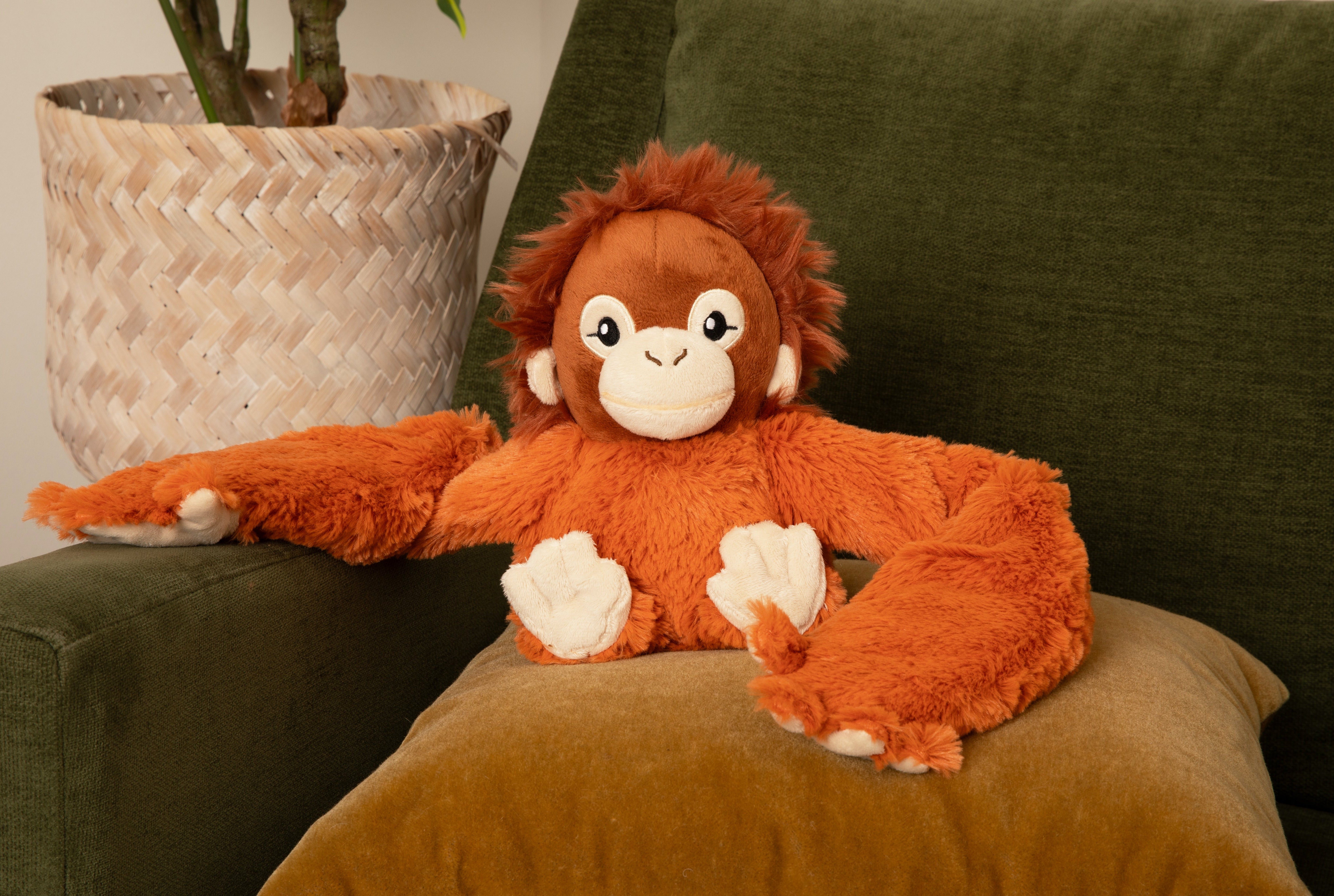 Ollie the Orangutan