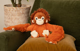 Ollie the Orangutan