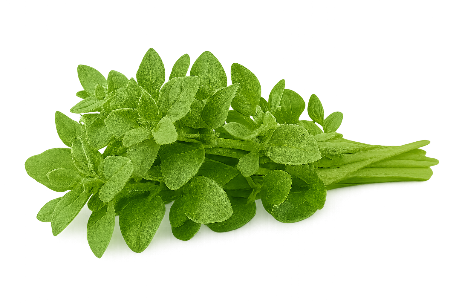 Herb Bundle