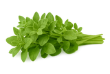 Herb Bundle