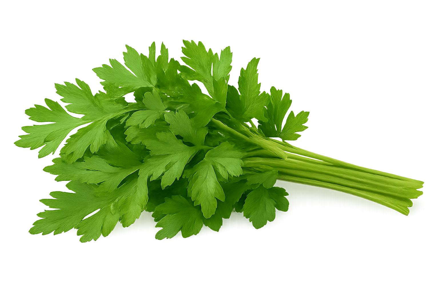 Herb Bundle