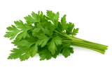 Herb Bundle