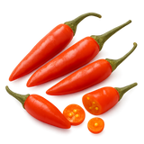 Nightshade Bundle