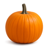 Cucurbit Bundle