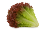Lettuce Bundle